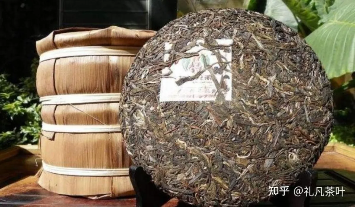 景迈古树生茶